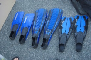 snorkelling fins ready