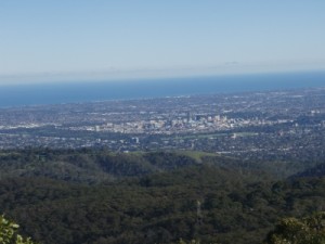 views from the top of Mt Lofty