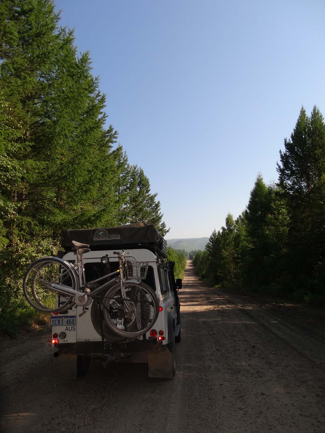 weird driving in pine forests after the emptiness of Mongolia