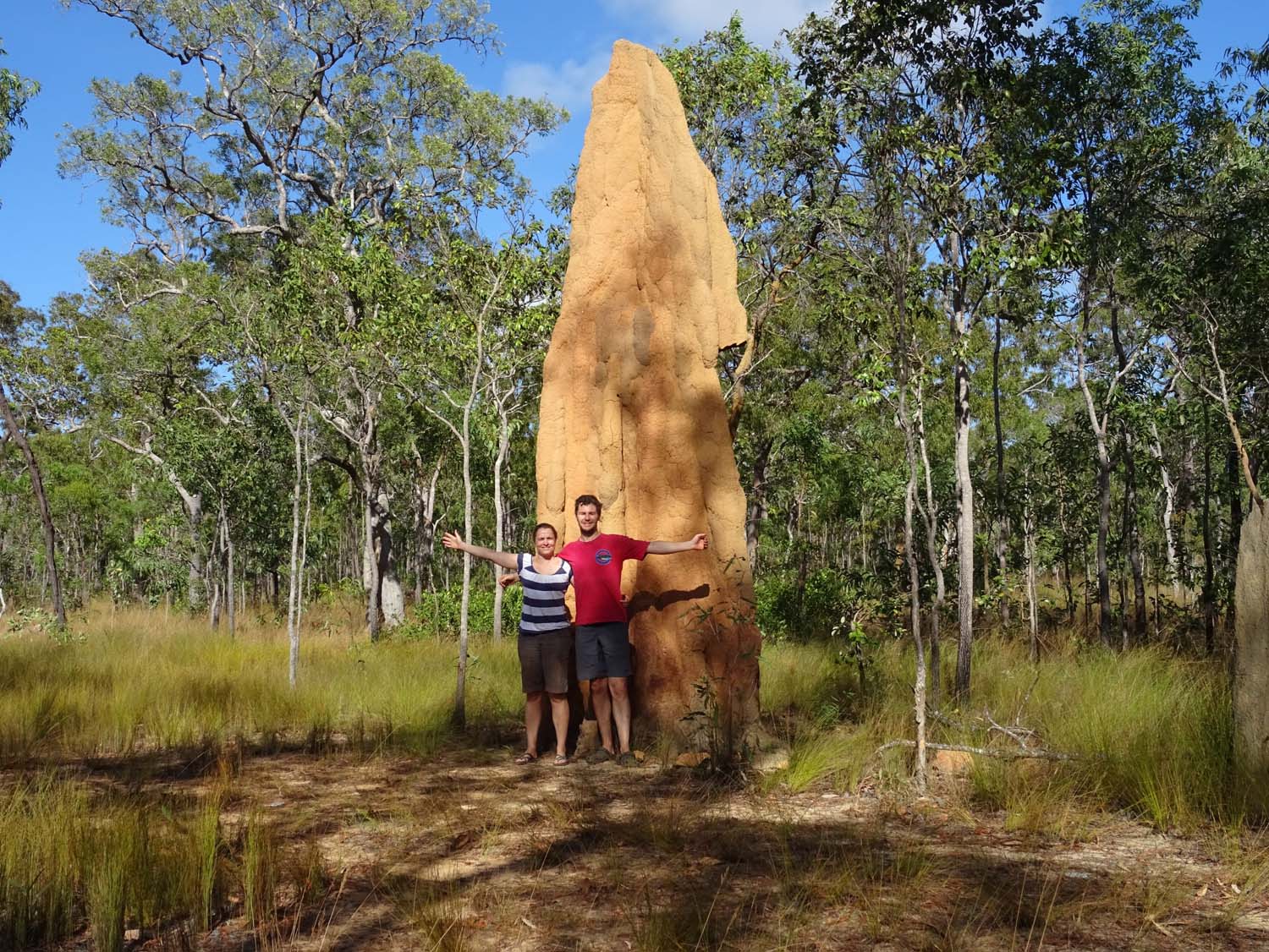 they have some huge termite mounds here