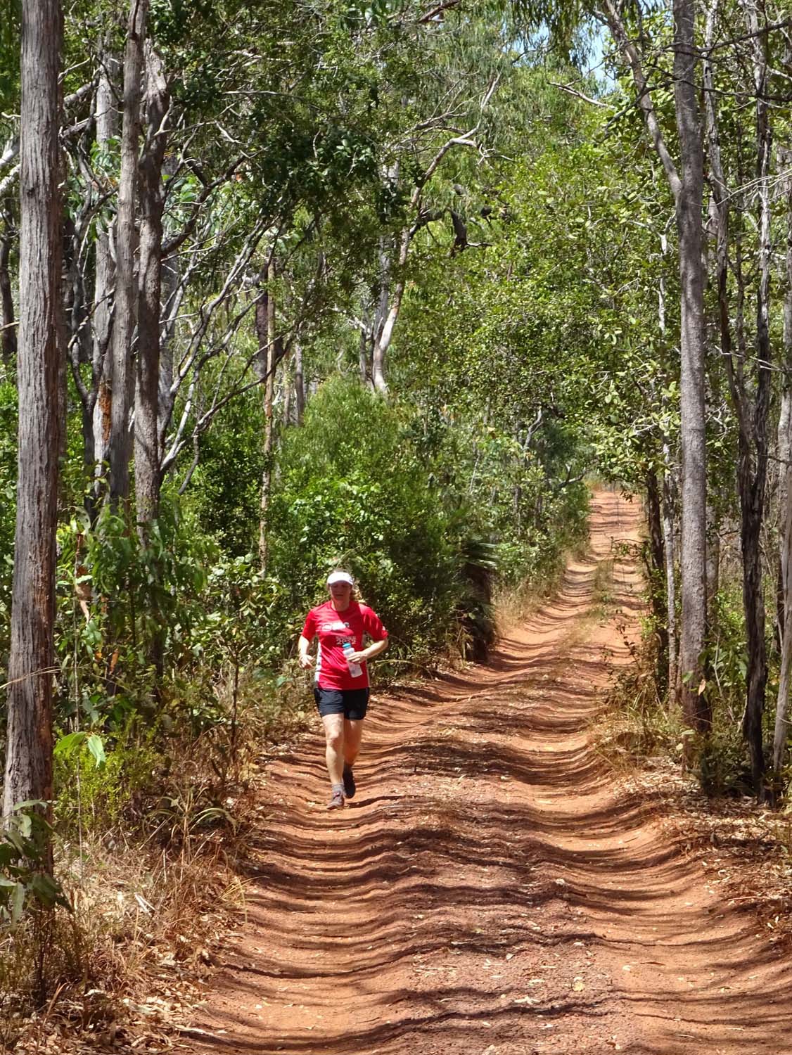 a run on the Old Telegraph Track - this would be an awesome ultra run!