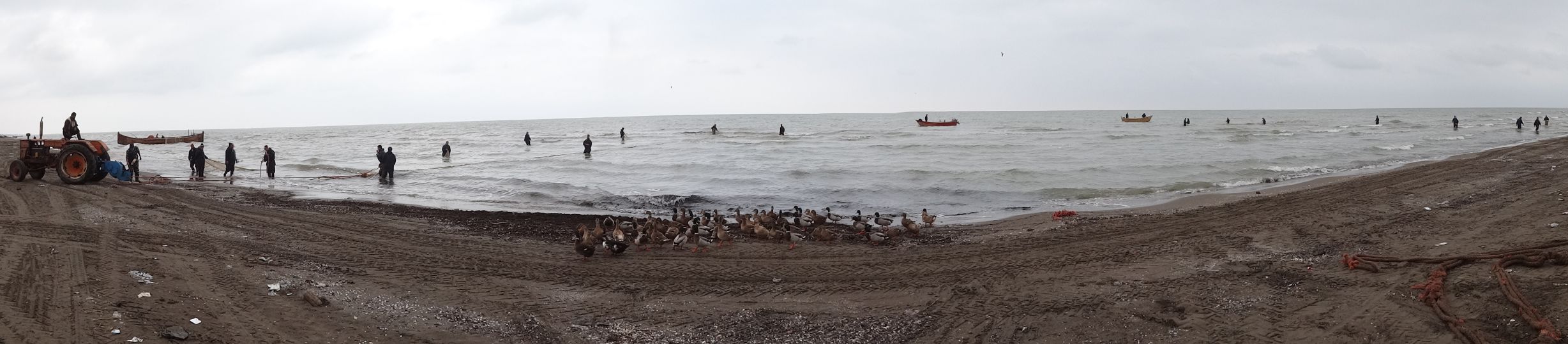 Caspian Sea - a whole team working on the catch of the day