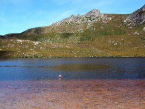 we spent half an hour swimming in Lake Rhona after our day trip to the top of Reed Peak, the water was just perfect