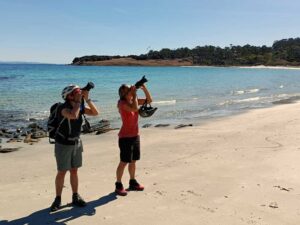 Corinne and Jude taking pictures of a wedge-tailed eagle