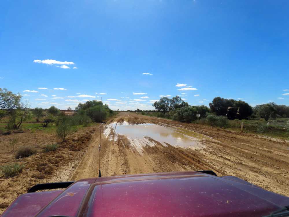 the Oodnadatta track still shows some signs of the recent rains, these roads become impassable when wet so we were very lucky it was mostly dry already