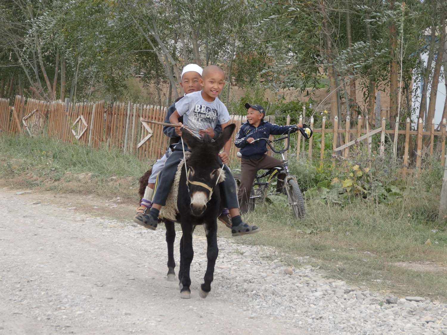2 boys riding a donkey, usually adults ride them which always looks a bit silly
