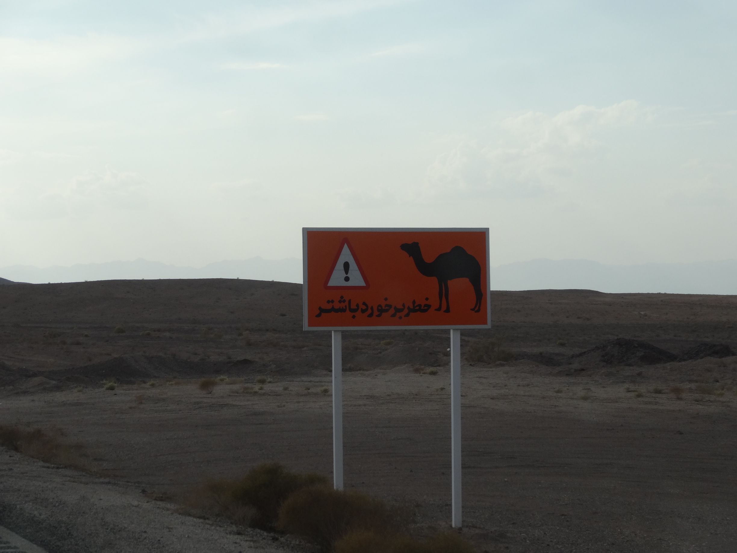 we understand this sign and also see many dromedaries in the deserts