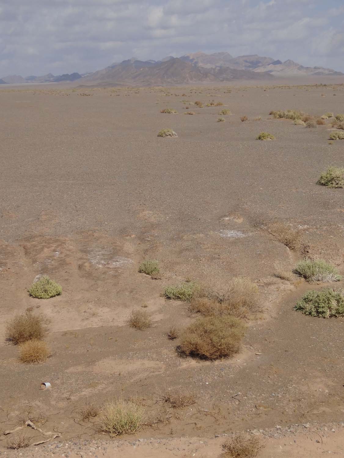 beautiful desert scenery