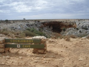 we stop at the Cocklebiddy Caves