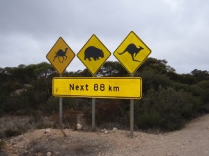 love these typical Australian road signs