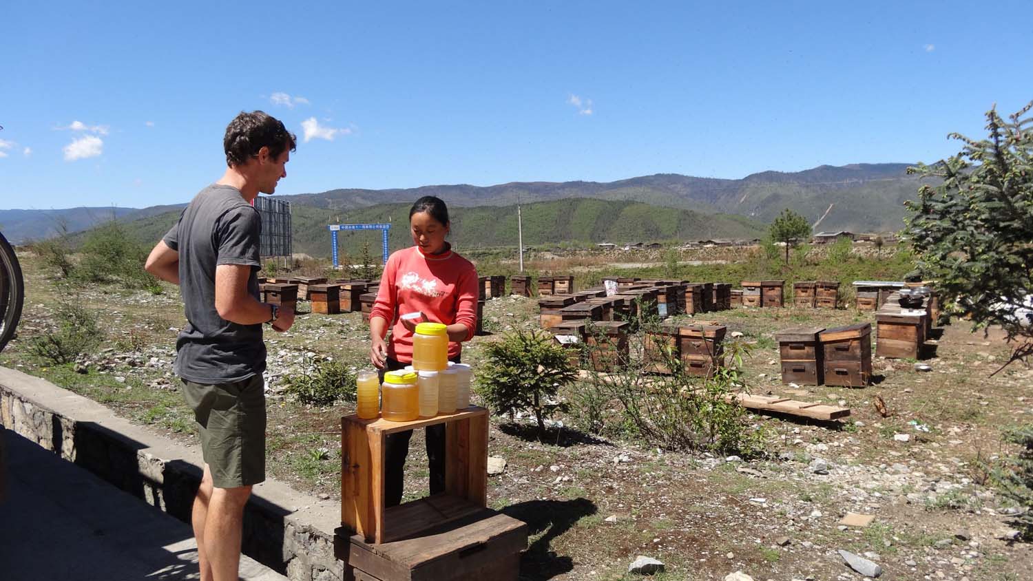 buying honey directly from the beekeepers alongside the road