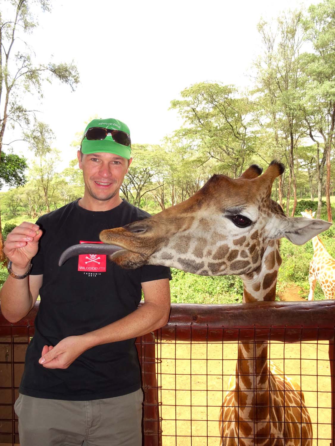 average length of a giraffe tongue is 45cm...!