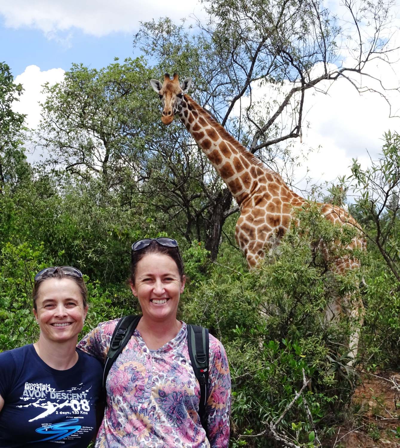 we were lucky to bump into a few giraffes on our walk in the giraffe centre
