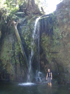 one of many waterfalls in the Otways