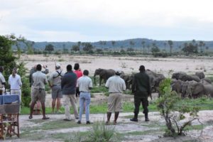 Jude, Lorenzo (with white cap) and Regine watching the two families of elephants coming in for a drink whilst we are having sundowners on the last day of the year