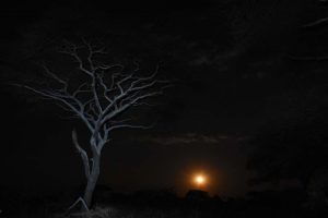 moonrise in Katavi NP