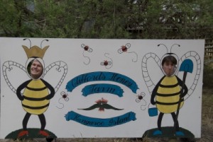 Jon and Stuart at the bee farm