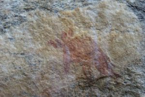 an aardvark painted many thousands of years ago