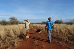 Steve, Jon and the 2 dogs at the start of our walking safari