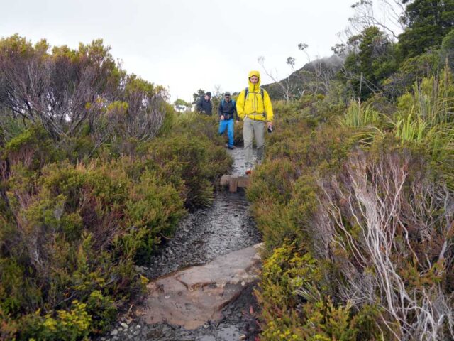 Day hikes in Tasmania