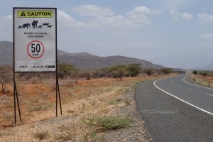 slow down, elephants and other wildlife crossing - a sign you don't see every day!