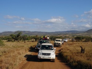 arriving in the Lewa Conservancy with many others, Helen and James in the white car