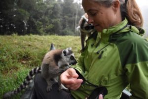 the ring-tailed lemurs are very interested in Jude's jacket and keep licking it (maybe time to wash it?)