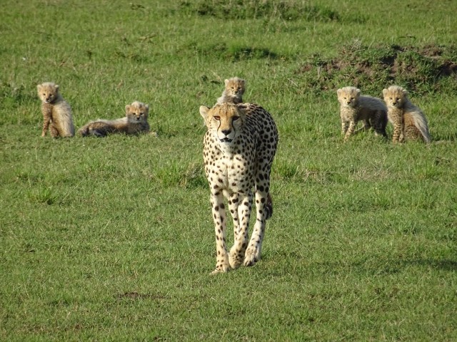 New Year’s in the Mara