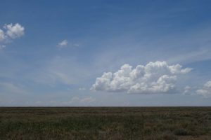 a view from the ground of the treeless Ndutu Plains