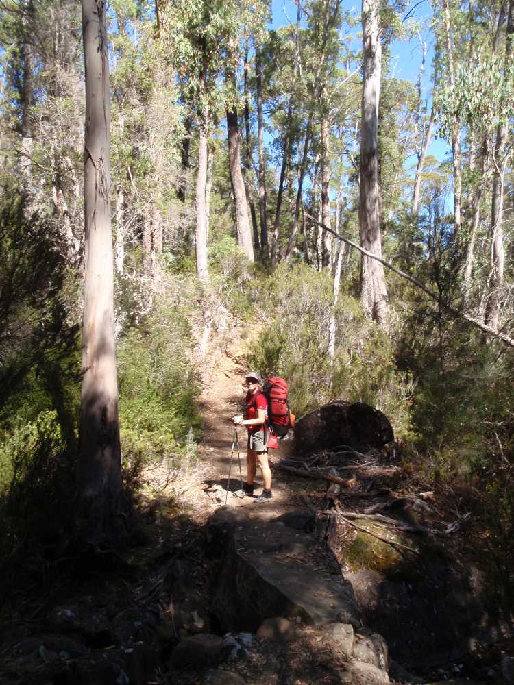 Jude hiking on day 6 of the Overland track, the weather is still fantastic