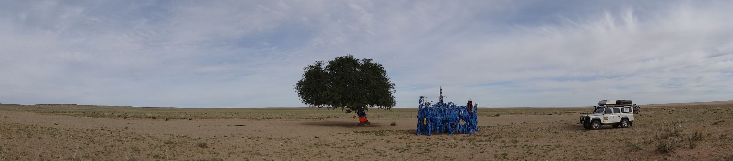 a lone tree in the Gobi Desert with an offering site next to it