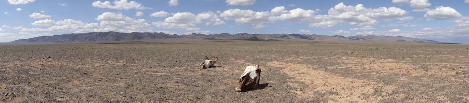 desolate images in the Gobi Desert