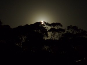 beautiful moon rise