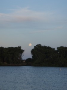 beautiful moonrise above the Murray River