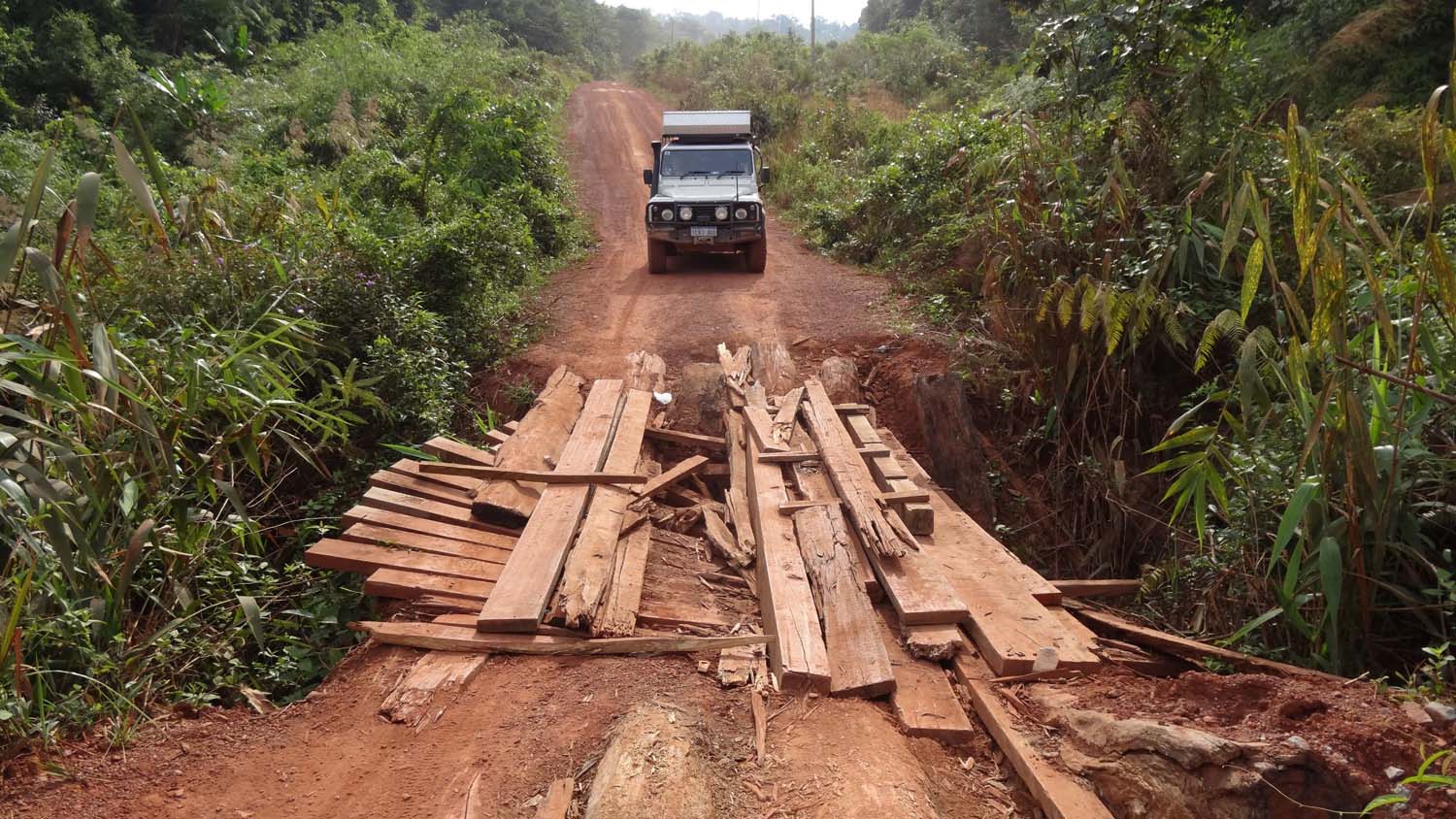 dodgy bridges in the Cardamom mountains
