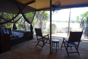 our room from the inside, stunning views with only thin mesh separating you from the bush