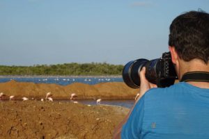 Jon trying to capture the perfect flamingo shot
