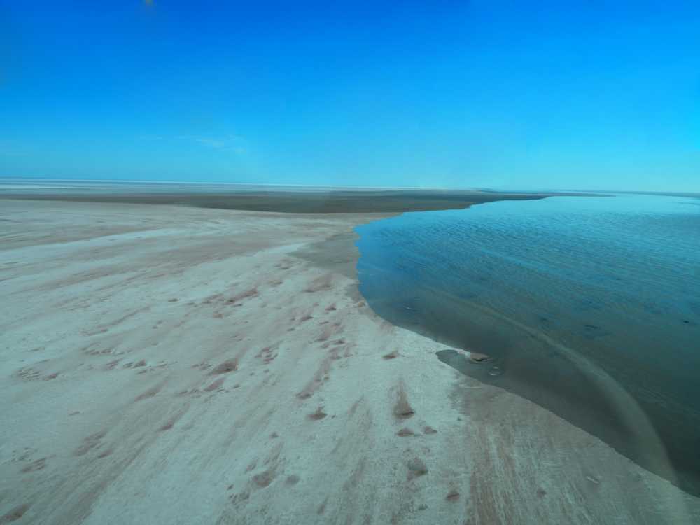 view from the little plane as we took a scenic flight over Lake Eyre, this is as far as the water has reached today