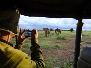 on the game drive