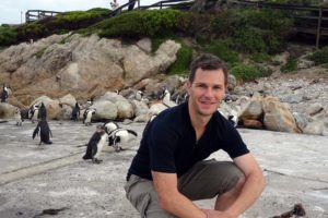 Jon and a whole bunch of African penguins coming back from fishing at sea to roost in the dunes overnight