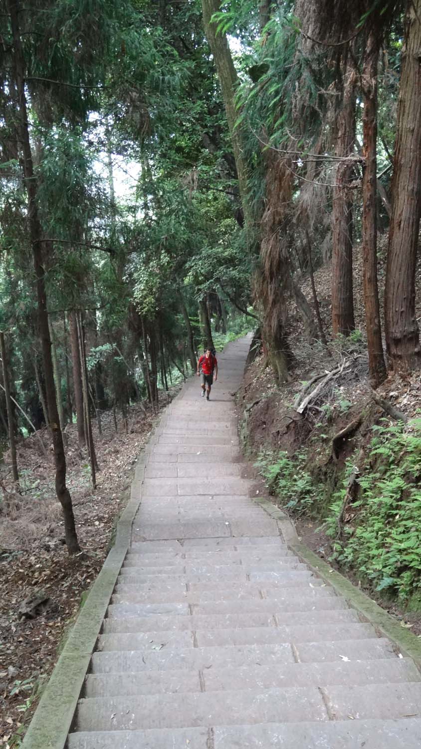 steps, steps and more steps on Mt Emeishan