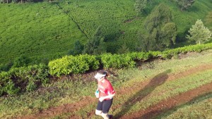 running through the tea plantations in Tigoni with the Swaras