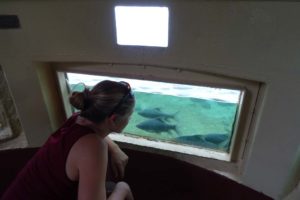 Jude checking out the fish in the underwater viewing room in one of the Mzima Springs, unfortunately there are no hippos to watch