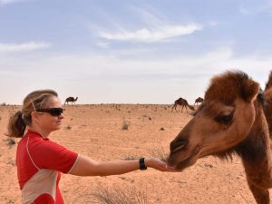 Jude the camel whisperer