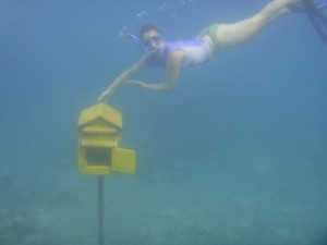 Vanuatu has the world's only underwater post office and mailbox