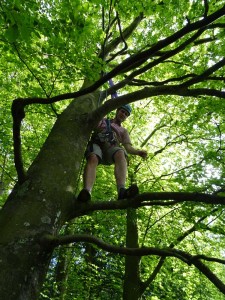 Jon up a tree...