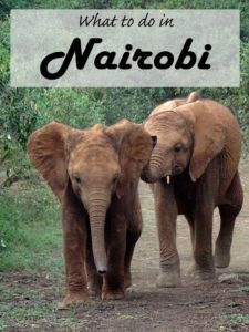 What to do in Nairobi - from a local